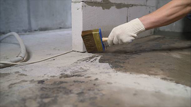 SJ Waterproofing Pros Waterproofing coverage map for Potterville, MI and surrounding area